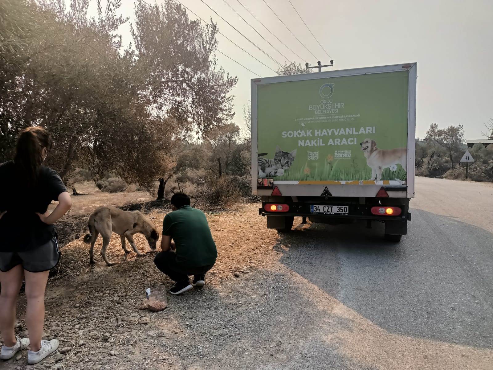 BÜYÜKŞEHİR HAYVANLAR İÇİN SEFERBER OLDU